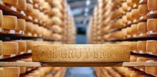 2025-nji ýylyň iň gowy peýniri