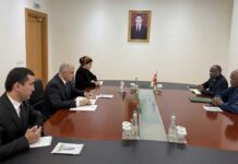 Чрезвычайный и Полномочный Посол Республики Нигер вручил копии верительных грамот