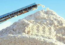 Дашогузские аграрии досрочно перевыполнили план по сбору хлопка