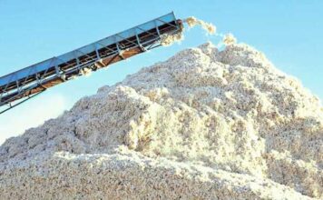 Дашогузские аграрии досрочно перевыполнили план по сбору хлопка