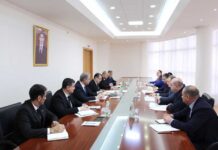 Türkmenistanyň DIM-de konsullyk meseleleri boýunça türkmen-gruzin geňeşmeleri geçirildi