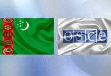 Türkmenistanyň Daşary işler ministriniň ÝHHG-niň Baş sekretary bilen telefon arkaly söhbetdeşligi