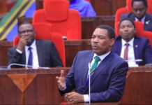 Tanzaniýanyň täze Premýer-ministri