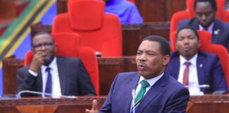 Tanzaniýanyň täze Premýer-ministri