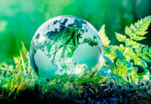 Туркменистан призвал страны региона к совместным экологическим усилиям