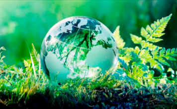 Туркменистан призвал страны региона к совместным экологическим усилиям