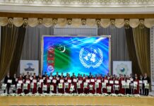 Halkara internet olimpiadasynyň netijeleri jemlendi