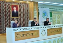 Türkmen alabaýynyň halkara ykrarnamasy