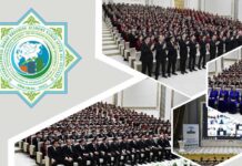 Halkara internet olimpiadasynyň netijeleri jemlendi