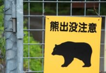 Aýylara garşy ätiýaçlandyryş hyzmaty ýola goýuldy