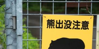 Aýylara garşy ätiýaçlandyryş hyzmaty ýola goýuldy