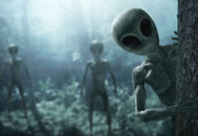 Adamzat öňdäki 50 ýylda başga planetalylar bilen duşuşyp bilermi?