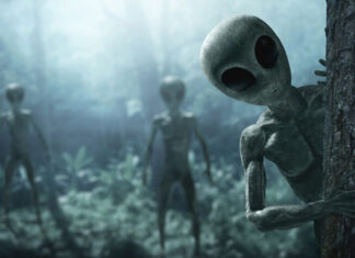 Adamzat öňdäki 50 ýylda başga planetalylar bilen duşuşyp bilermi?