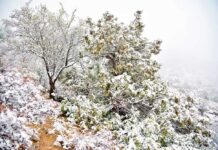 Lukman maslahat berýär