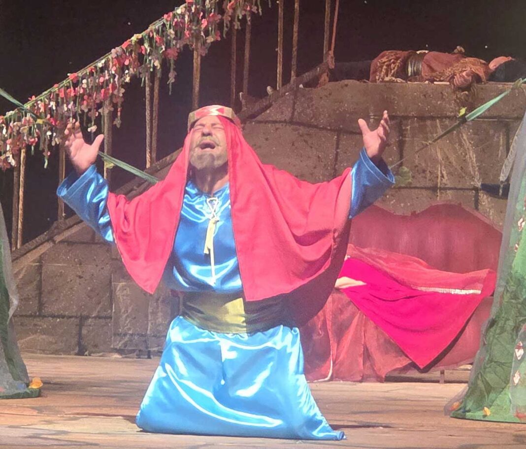 mary-kemine-teatr-театр-(9)