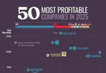 2025-nji ýylda dünýäniň iň girdejili kompaniýalary
