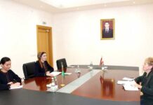 Awstriýa-Türkmen jemgyýetiniň ýolbaşçysy bilen duşuşyk geçirildi