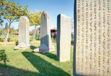 Bütindünýä Türki dili maşgalasynyň güni