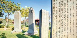 Bütindünýä Türki dili maşgalasynyň güni