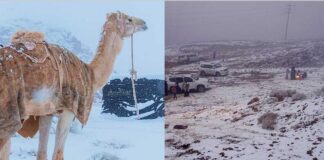 Seýrek we garaşylmadyk tebigy hadysa: Saud Arabystanynda gar ýagdy