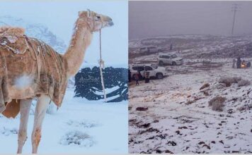 Редкое и неожиданное природное явление: в Саудовской Аравии выпал снег