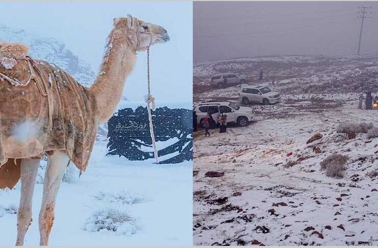 Seýrek we garaşylmadyk tebigy hadysa: Saud Arabystanynda gar ýagdy