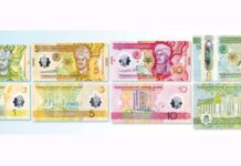 Türkmenistanda banknotlaryň täze nusgalary dolanyşyga girizilýär