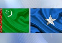 Türkmenistanyň we Somali Federatiw Respublikasynyň Daşary işler ministrleri telefon arkaly söhbetdeşlik geçirdiler