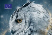 В Ашхабаде состоится интеллектуальный турнир Winter Cup 2025