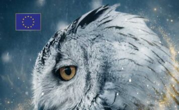 В Ашхабаде состоится интеллектуальный турнир Winter Cup 2025