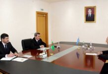 Türkmenistanyň DIM-nde BMG-niň Merkezi Aziýa üçin öňüni alyş diplomatiýasy boýunça sebit merkezi bilen hyzmatdaşlyk meselelerine seredildi