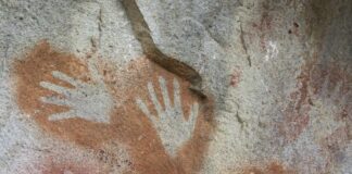 Indoneziýada dünýäniň iň gadymy gaýa suraty tapyldy