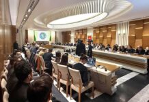 Ankarada 2026-njy ýylyň şygaryna bagyşlanan maslahat geçirildi