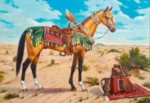 Türkmenistan – behişdi bedewleriň mekany