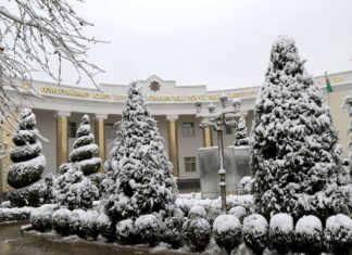 В туркменском вузе организуют языковые олимпиады для старшеклассников