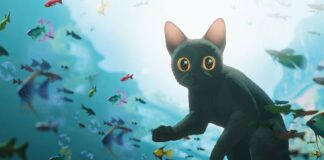 Oskarly animasiýanyň täsiri bilen gara pişik alýanlaryň sanyny artdy