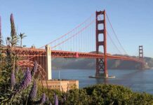 5-nji ýanwarda bolan wakalar