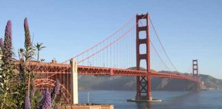 5-nji ýanwarda bolan wakalar