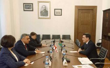 Встреча в Парламенте Грузии: приоритеты межпарламентского взаимодействия