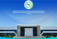 Gurbanguly Berdimuhamedow adyndaky Howandarlyga mätäç çagalara hemaýat bermek boýunça haýyr-sahawat gaznasynyň web-saýty işe girizildi