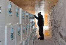 Buz geljek üçin saklanar