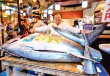 Rekord bahadan satyldy