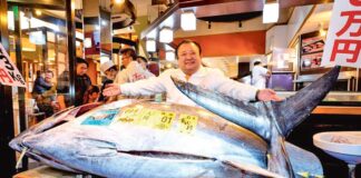 Rekord bahadan satyldy