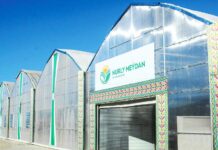 Döwrebap ýyladyşhanada 150-den gowrak adam zähmet çeker