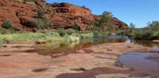 Ýer ýüzüniň iň gadymy derýasynyň ady mälim edildi