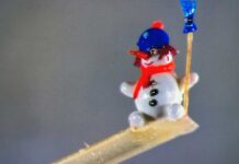 Çäge bölejiginiň möçberinde garadam ýasaldy