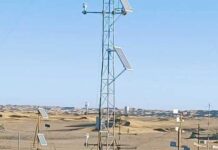 Туркменистан и Китай обмениваются опытом защиты пустынных трасс