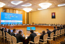 Durnukly ösüş üçin sebitleýin arabaglanyşyk