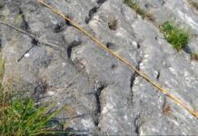 Türgenler taryhyň yzlaryny tapdylar