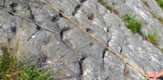 Türgenler taryhyň yzlaryny tapdylar